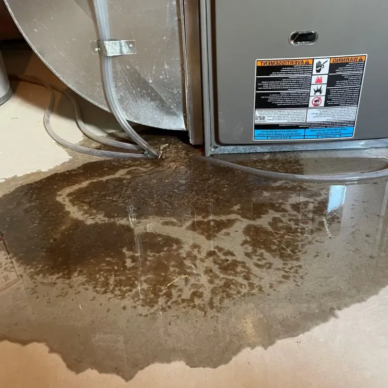 Pipe Burst and Leak Restoration in Deaf Smith County, TX