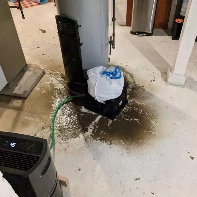 Sewage Backup Cleanup Service in Deaf Smith County, TX